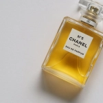 Привилегированные бездепозитные бонусы элитного онлайн-казино